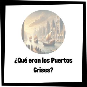 Lee más sobre el artículo ¿Qué son los Puertos Grises?